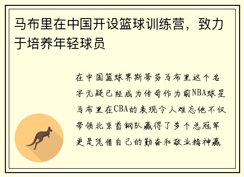 马布里在中国开设篮球训练营，致力于培养年轻球员